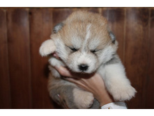 ������� ����� 003.jpg