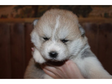 ������� ����� 004.jpg