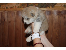 ������� ����� 005.jpg