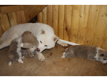 ������� ����� 012.jpg