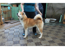 ������� ����� 027.jpg