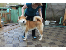 ������� ����� 030.jpg