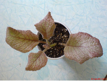 ������� 1