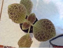 ������� 3