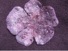 DSCF0531_����� ������.JPG