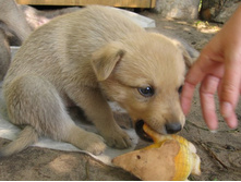 �������