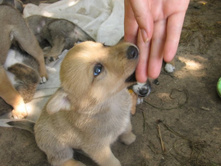 �������