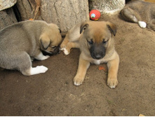 ��������� � ����