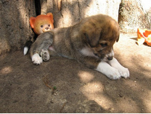 ���������