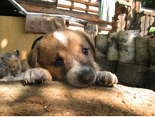 �������