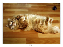 ������ ����!