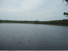 �������� ����� ������-��