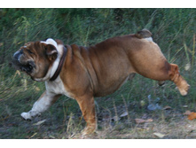 4 �������� �������� � ����� 201.jpg