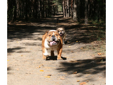 4 �������� �������� � ����� 007.jpg