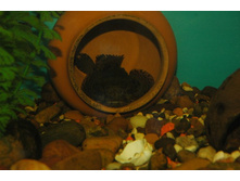 �������� � ����� ������