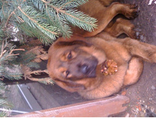 ����������� 994.jpg