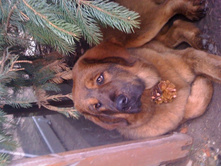 ����������� 995.jpg