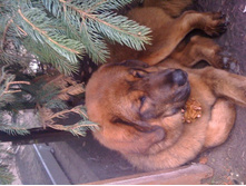 ����������� 996.jpg