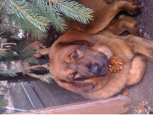 ����������� 997.jpg