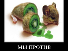 16.07.2009 9:31:24