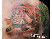 ���� ��� .���������� �� �����