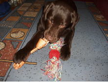 ��� ��� �������