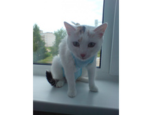 ����� � ������