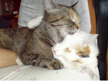 �������