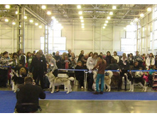 ������� -4 � ����� ������� ������ ���������))