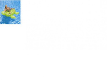 147�140�� 312,2+%.jpg