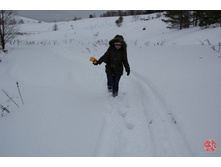 �������, ���� �� ���������� �������)))