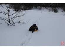 �������. �� ������ � ������� ��������� �������)))