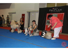 17.07.2011 ���