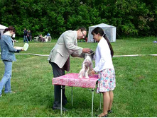 05.06.2011 �����������