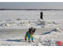 �������.