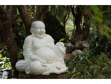 ����� 1.jpg