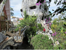 ���������� ���.jpg