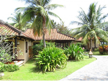 ��������� 1.jpg