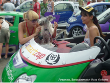 ���������������� �������� ������� ������������� ������ (�-����)