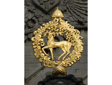 ���� �� �� ������ �����������