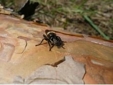 �������