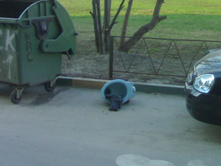 ������� �����������