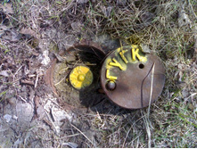 ����� ��������������