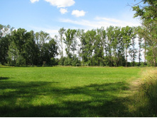 ���������� ����