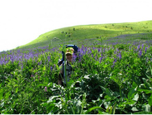 ����� - �����