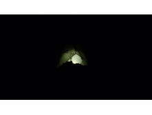 ������ � ����