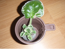 ���������� ������� � �������� ��������