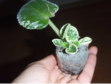 ���������� ������� ������ � �������� ��������