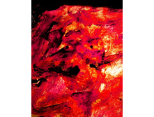 "��������"