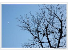 � ������ ��������� �����.jpg